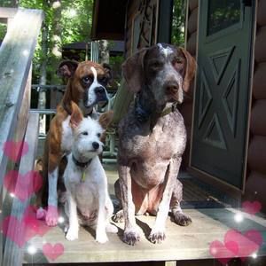 Meet your Posher, Alan